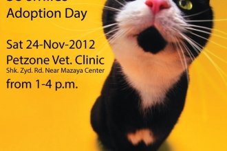 First Adoption Day! 24th Nov 2012