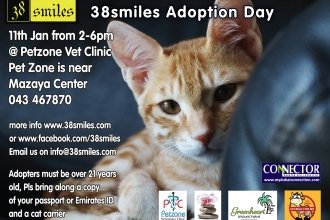 AdoptionDay11thJan