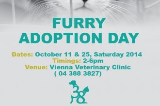 November Adoption Day