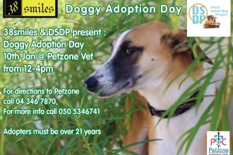 DoggyAdoptionDay10thJan