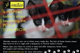 Foster poster