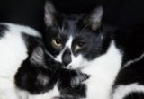 Charlie and Squeak